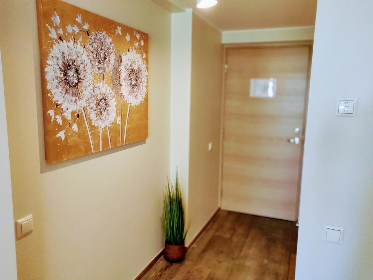 Aisa 39 Lejlighedshotel Pärnu Eksteriør billede